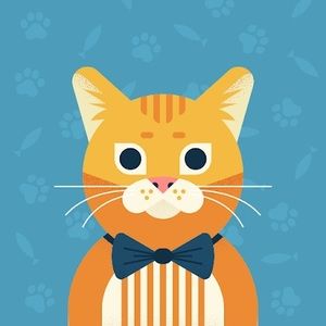 Meet your Posher, Afghan